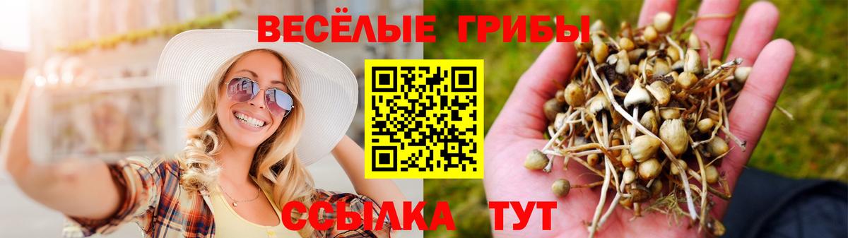 Псилоцибиновые грибы MAGIC MUSHROOMS Таганрог